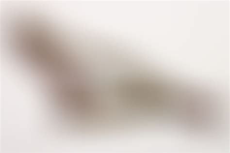 ratisbon's | NSDAP bandolier for a flag bearer in the local group ...