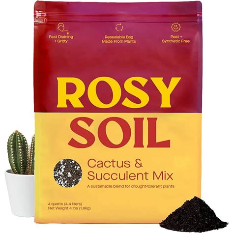 Rosy Soil Cactus and Succulent Mix for Sale | FastGrowingTrees.com