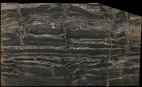 Buy arabescato orobico marble | Grey color marble for floor & wall | Nitco