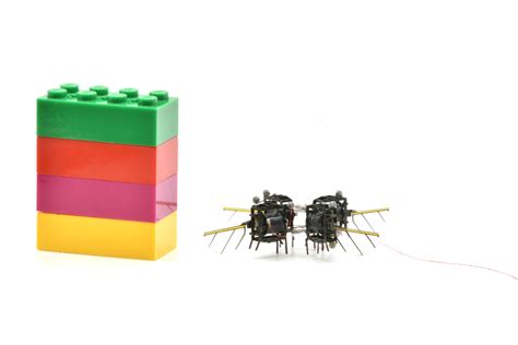 Robot Insect 的图像结果