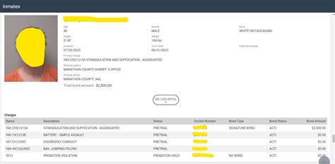 Marathon County Jail Roster Lookup, WI, Inmate Search