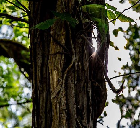 Best Campgrounds in Oklahoma