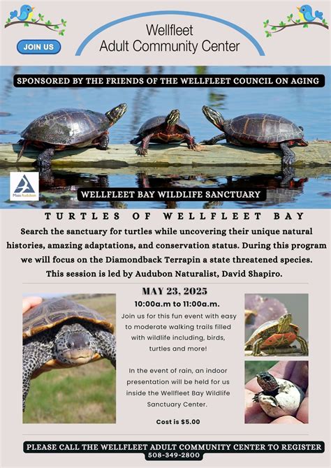 Turtles of Wellfleet Bay at the Wellfleet Audubon , Mass Audubon ...