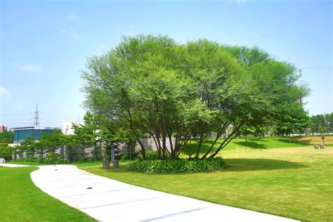 DESIGN ACCORD: Landscape Projects Detail : IREO Experience Centre, Gurugram