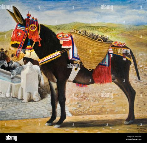 Female Donkey In Spanish