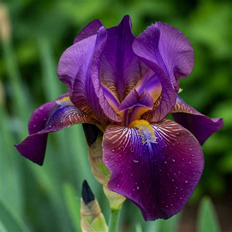 The Spiritual Meaning of Ethereal: A Journey Into the Divine and ...