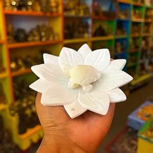Buy Salvus APP SOLUTIONS Marble Lotus with Turtle Idol – Premium ...