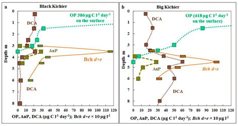 A Novel View of the Diversity of Anoxygenic Phototrophic Bacteria ...