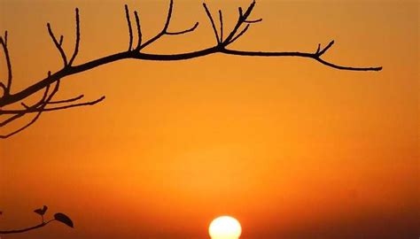 Wildlife Sanctuary Mount Abu Guide To Reconnect With Nature In 2025