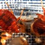 Image result for Bed bug infestation in Paris