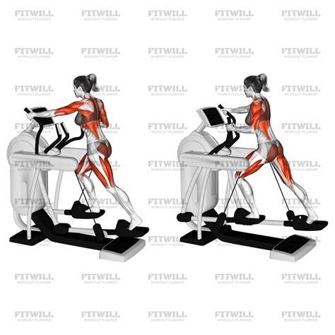 Elliptical Machine Workout 的图像结果
