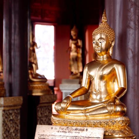 Descubre los mejores 27 versículos de ofrenda agradable según la Biblia ...