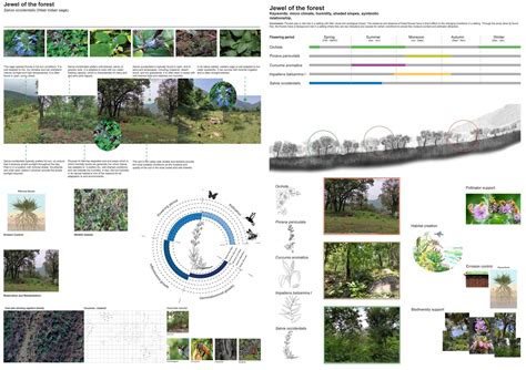 JEWEL OF THE FOREST | CEPT - Portfolio