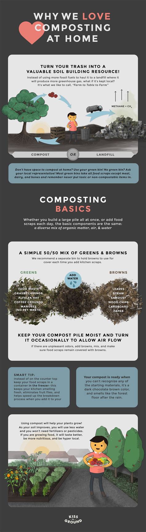 Composting Infographic 的图像结果