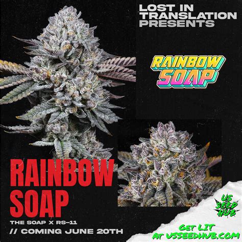 RAINBOW SOAP FULL PACK BY LIT FARMS *Includes Freebie Pack*