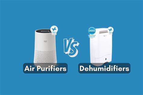 Air Purifiers vs Dehumidifiers: Comprehensive Guide to Indoor Air ...