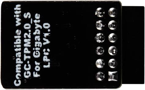 Buy NewHail TPM2.0 Module LPC 12Pin Module with Infineon SLB9665 for ...