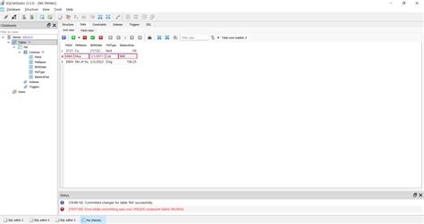 Image result for Create New Database in SQLiteStudio
