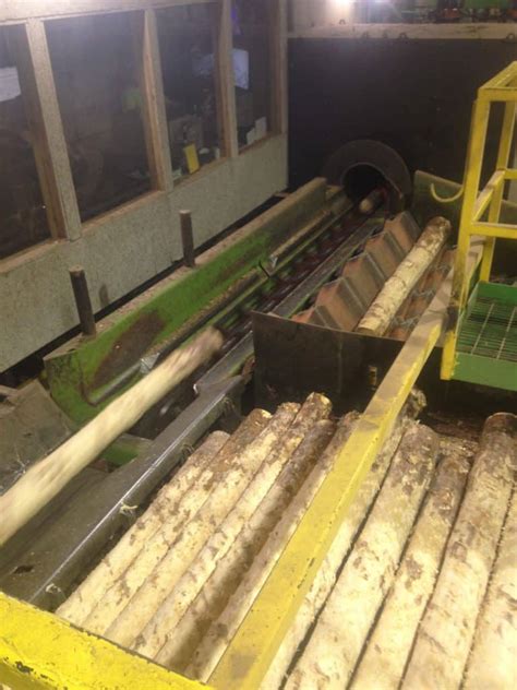 Image result for Infeed Long Log Strander