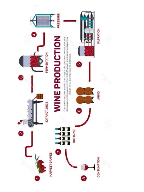 Wine Making Process 的图像结果