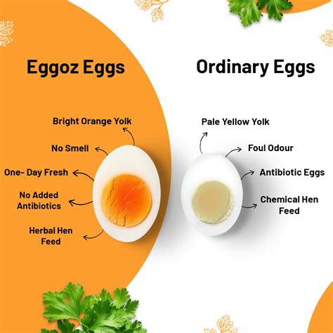 Eggoz - Free-Range Eggs