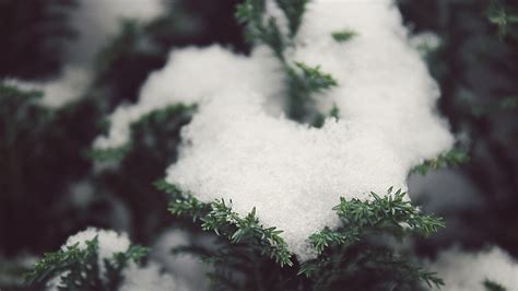 West Union, WV Weather Forecast, Conditions, and Maps – Yahoo Weather