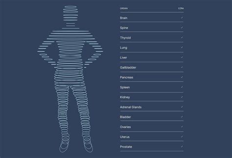 Full Body MRI Scan for Physicians | Longhorn Imaging