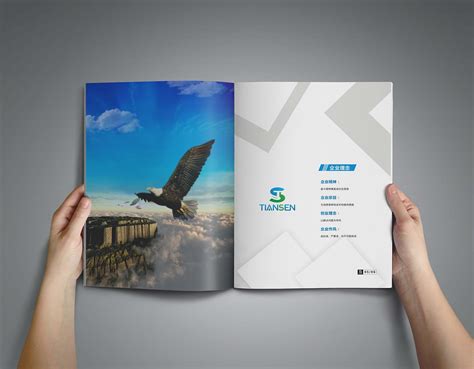重庆企业画册设计|平面|书籍/画册|不想劈图 - 原创作品 - 站酷 (ZCOOL)