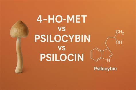4-HO-MET, Psilocybin & Psilocin Explained - by The Drops