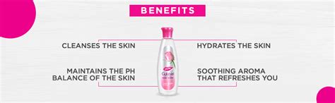 Buy Dabur Gulabari Premium Rose Water,Pack of 59ml Online at Low Prices ...