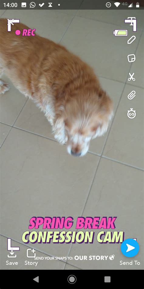 Image result for Using Snapchat Filters