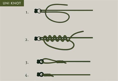 Best Bass Fishing Knots For Beginners