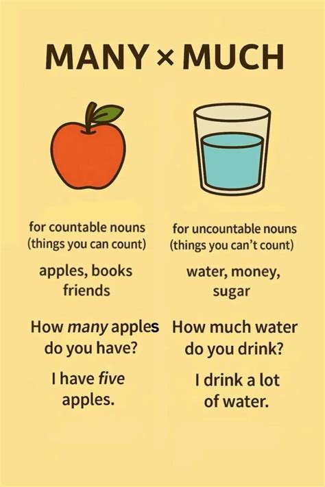 Many vs Much - English grammar for beginners 2/3 | English grammar, English lessons for kids ...