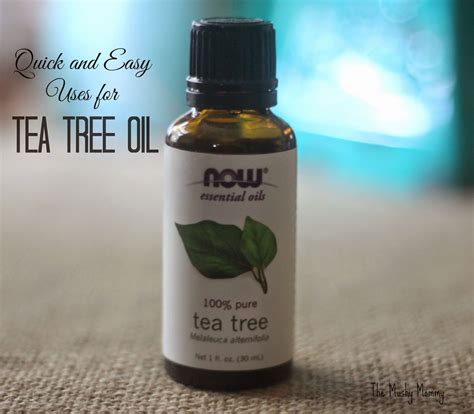 The Mushy Mommy: Quick and Easy Uses for Tea Tree Oil | Tea tree oil lice, Tea tree oil, Tea ...
