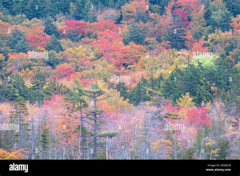 Image result for Error Red Color Code