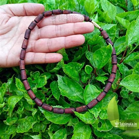 1 Round Original Tulsi Kanthi Mala Dark Brown Bead 7mm - Tulsi Mala