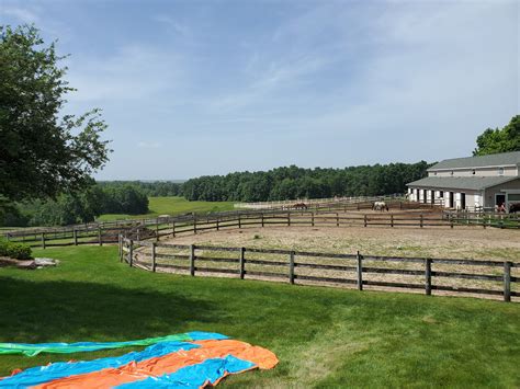 Highpointe Farm, Michigan, Horses, Field, Betsy ONeill, Fine Art, Ada