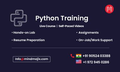 Python Training 的图像结果