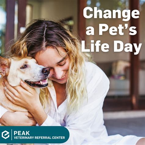 Peak Veterinary Referral Center (@peak.veterinary) • Instagram photos ...