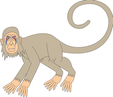 Image result for Mesopithecus vs