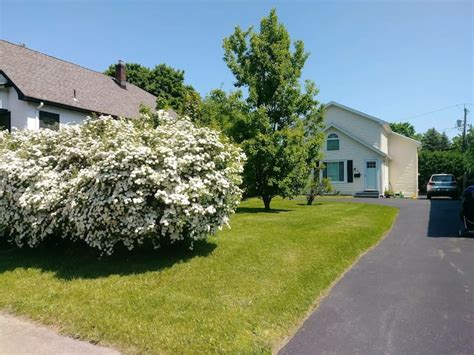 Cozy but spacious (with hot dry sauna option) - Houses for Rent in ...
