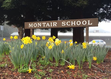 Montair Elementary School - Everything Danville, California!