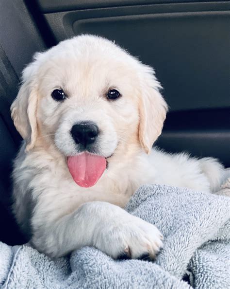 Joaquin Phoenix Parenthood