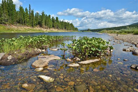 bingo101 secure payments,In the digital age