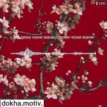 Мадина чони мани ороми чони мани гитара. Тик ток тренд. Полный - YouTube