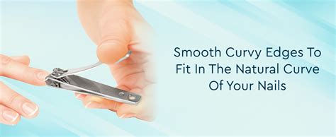 Buy GUBB Curved Nail Clipper For Men & Women | Stainless Steel Nail ...