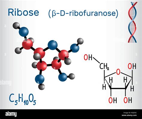 D Ribofuranose Structure
