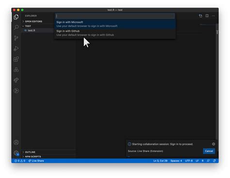 Image result for Visual Studio Code Share Live