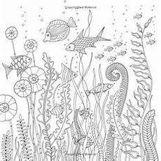 ausmalbilder fische und korallen fische im meer mit korallen coloring ausmalbilder ausmalbilder fische und korallen fische im meer mit korallen coloring ausmalbilder