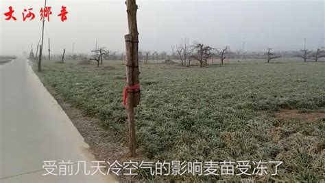 看不见的水 | 变不可见为可见：关于地下水的科普_澎湃号·政务_澎湃新闻-The Paper